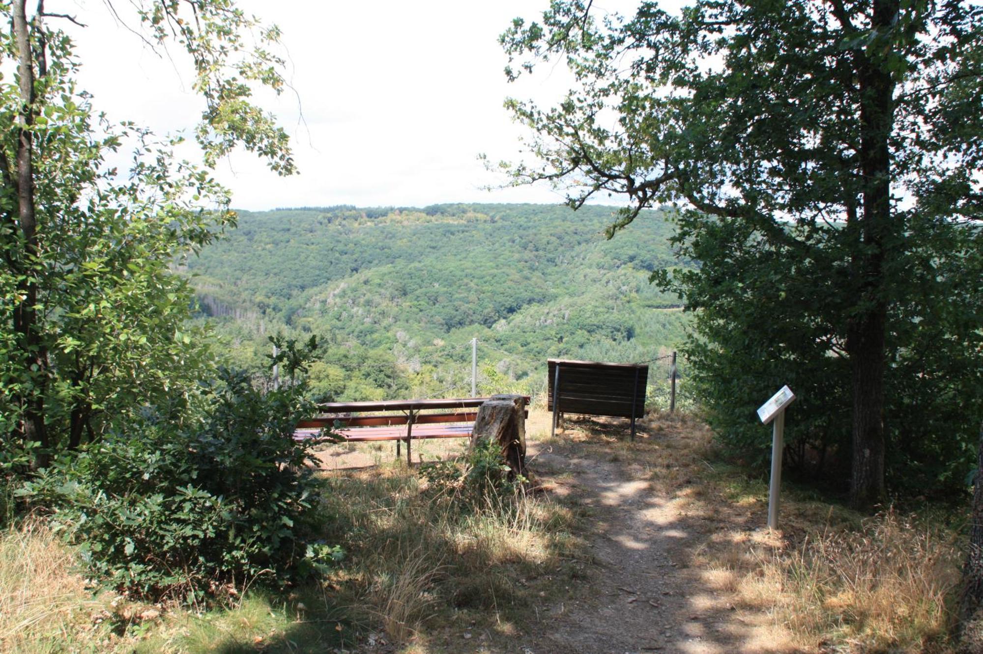 Haus Buchholz Διαμέρισμα Liesenich Εξωτερικό φωτογραφία