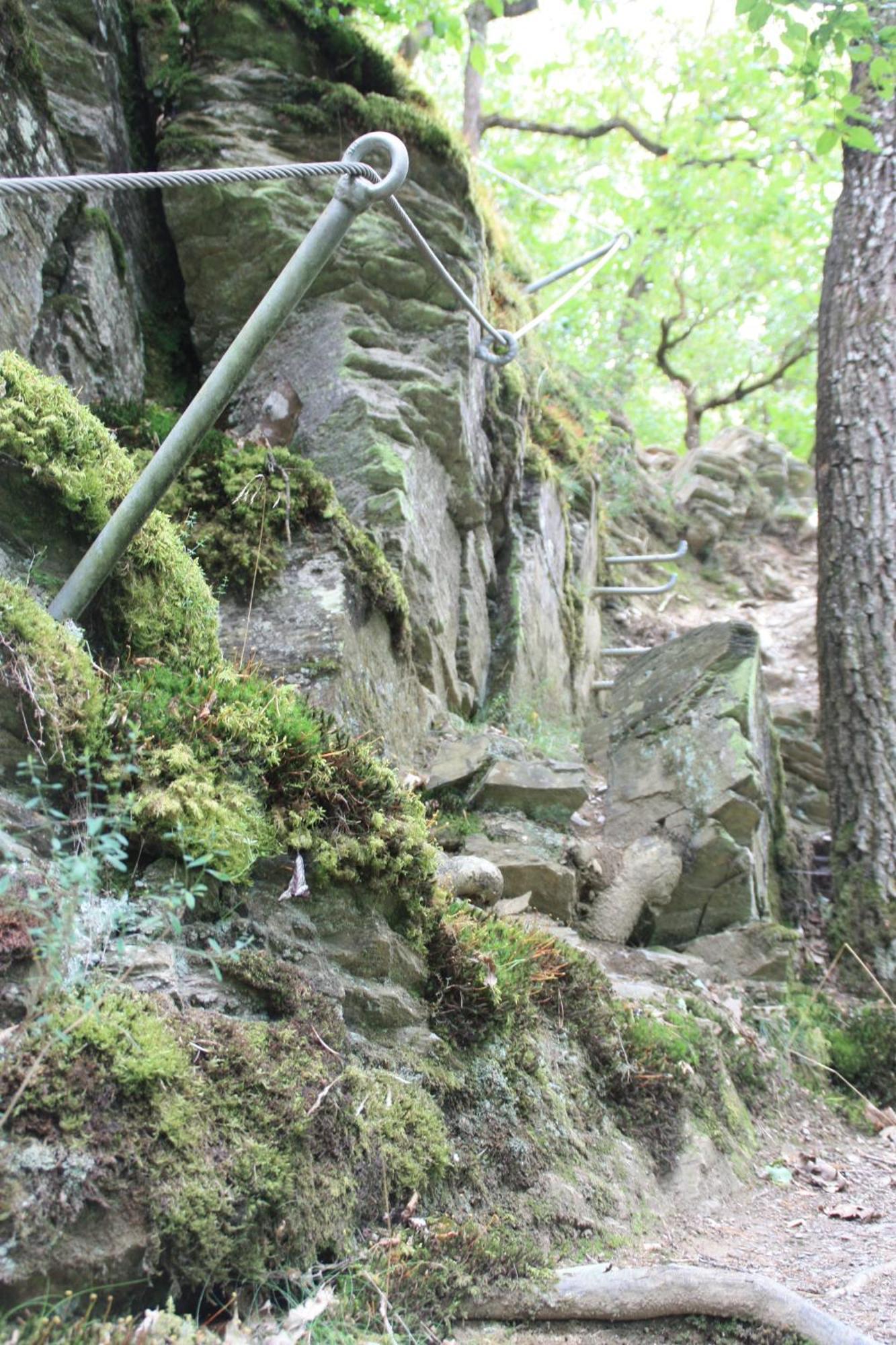 Haus Buchholz Διαμέρισμα Liesenich Εξωτερικό φωτογραφία